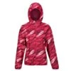 Regatta Womens/Ladies Serenton Brush Stroke Waterproof Jacket (Wild Plum) 1 Regatta Womens/Ladies Serenton Brush Stroke Waterproof Jacket (Wild Plum) -Outdoor Sports k1965833cf8e128cb6cc88d7d2c920a48