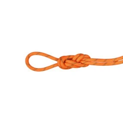Mammut Alpine Dry Half Rope 8.0 Mm X 50m 19 Mammut Alpine Dry Half Rope 8.0 Mm X 50m -Outdoor Sports k490d82408a6c6c8aa0b2cecb0add5ee6