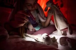 Ledlenser KidBEAM4 LED Hand Torch (Purple) 15 Ledlenser KidBEAM4 LED Hand Torch (Purple) -Outdoor Sports k59e29570618b7729d370bdca435a3048