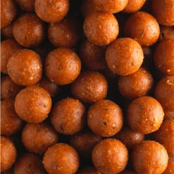 CARP FISHING BOILIE SCOPEX 20 MM 10 KG 41 CARP FISHING BOILIE SCOPEX 20 MM 10 KG -Outdoor Sports k5f00dedc3c329afed17b67e9f6707b1b