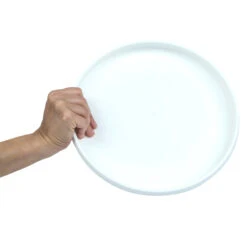 Plastic Ultimate Disc - Surf Illustration -Outdoor Sports k6abadd68bd21e02f4eeb8232e0eaab0c