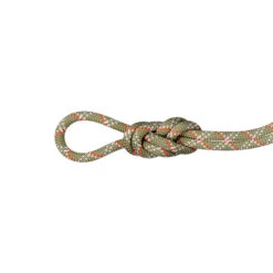 Mammut Gym Classic Single Rope 9.5 Mm X 50m