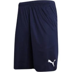 Puma Mens ESS Shorts (Black) -Outdoor Sports ka364a90182a09e903671223375b0504f