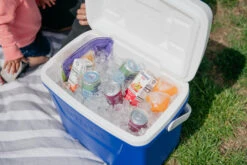 IGLOO Laguna 28QT Cool Box Red -Outdoor Sports kb309529a331bee3c9613a50999a7df51