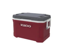 IGLOO Latitude 52QT Cool Box Red 15 IGLOO Latitude 52QT Cool Box Red -Outdoor Sports kd151df04d57c9fc7ca9aef084985ced5