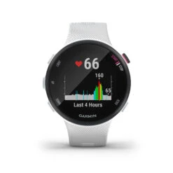 Garmin RUNNING HEART RATE MONITOR GPS WATCH FORERUNNER 45S - WHITE -Outdoor Sports kdb3865f73a27c70a7a055b3784190758