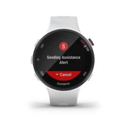 Garmin RUNNING HEART RATE MONITOR GPS WATCH FORERUNNER 45S - WHITE -Outdoor Sports ke0f03f50c696a241ea55b3a0c8549acd