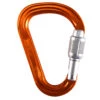 Petzl Attache Carabiner