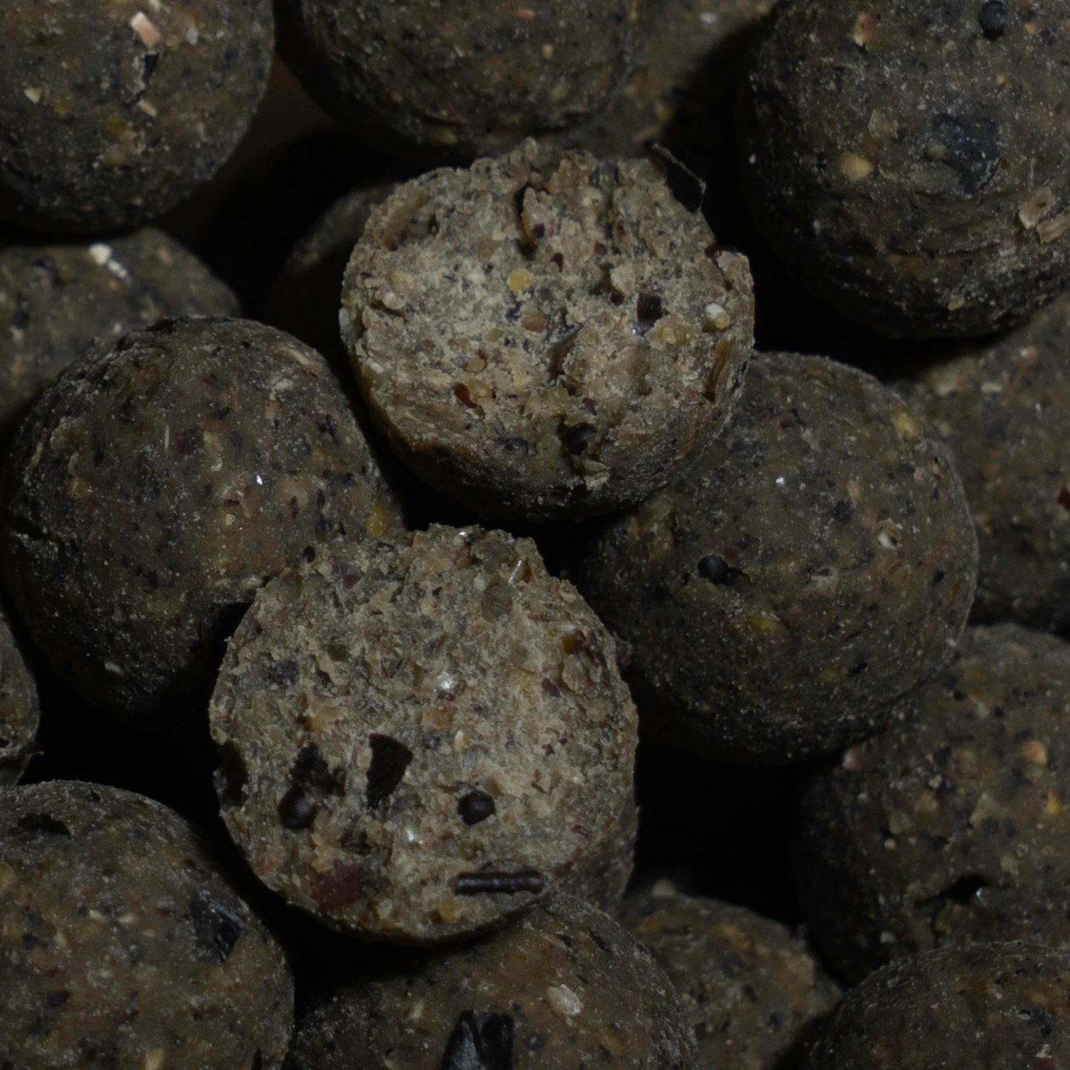 NATURALSEED20mm2kg Mussel Carp Fishing Boilies 5 NATURALSEED20mm2kg Mussel Carp Fishing Boilies - Image 3