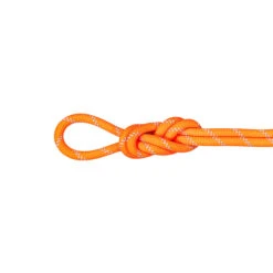 Mammut Alpine Dry Single Rope 9.5 Mm X 60m