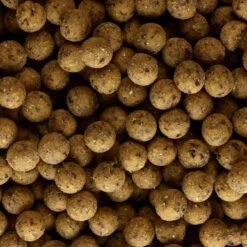 Carp Fishing Boilies NATURALSEED 16mm 2kg - Mussel 32 Carp Fishing Boilies NATURALSEED 16mm 2kg - Mussel -Outdoor Sports kfe5b67ecb7a2a20831cc795f7dda94d8