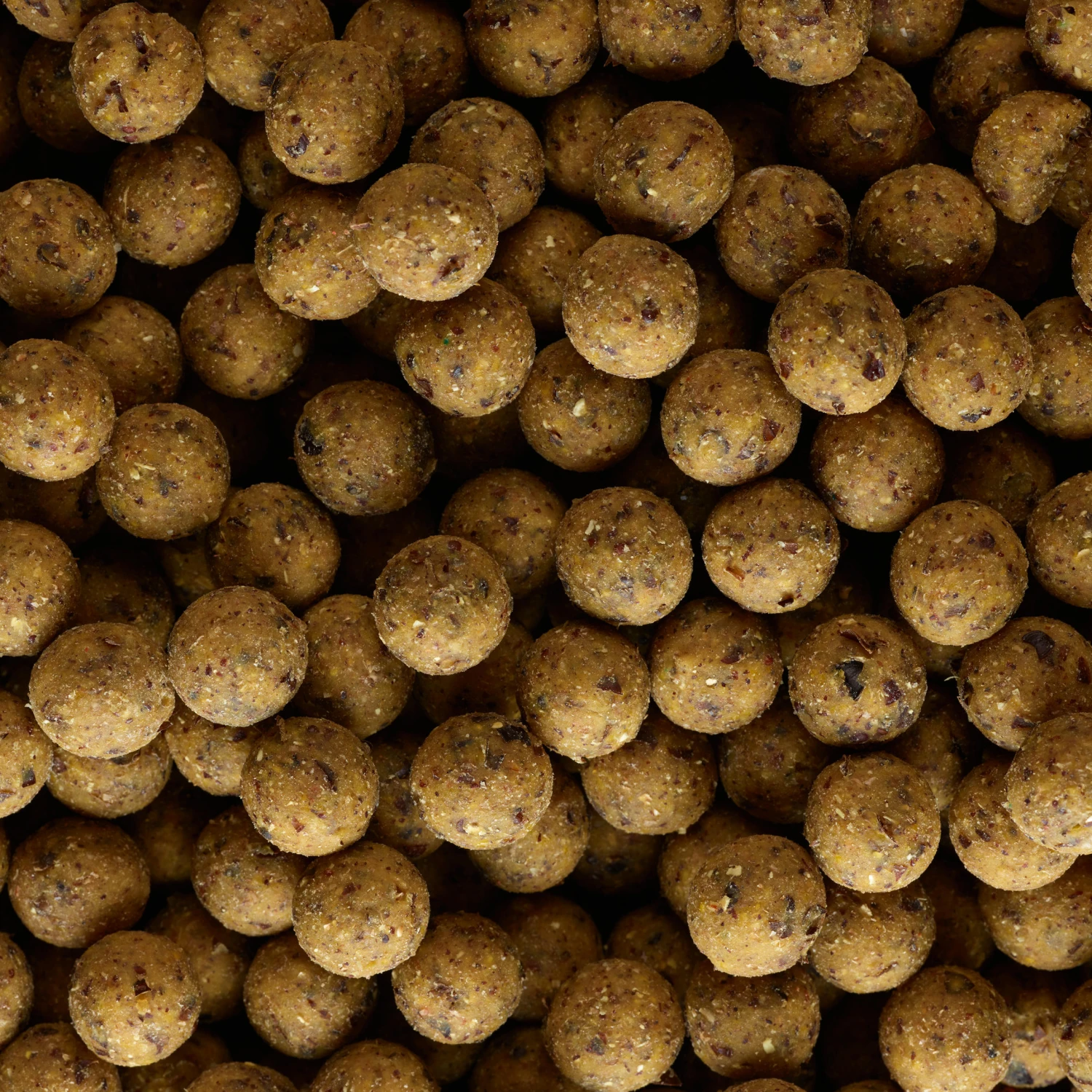 Carp Fishing Boilies NATURALSEED 16mm 2kg - Mussel 13 Carp Fishing Boilies NATURALSEED 16mm 2kg - Mussel - Image 11